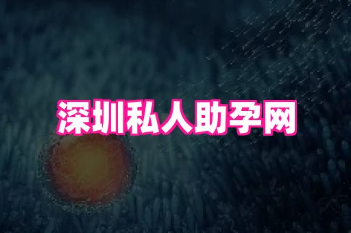 swisee孕网 1