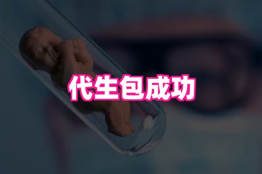 swisee孕网 3